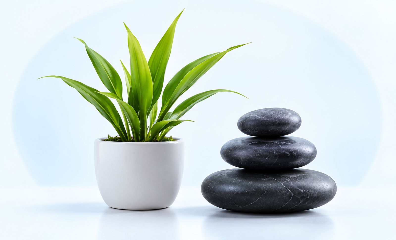 Plants and stones representing stress management